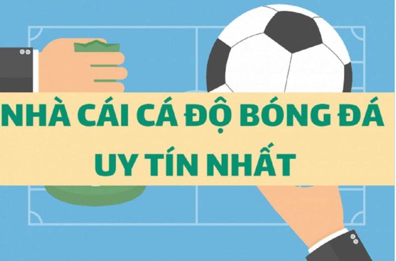 Phải có giấy phép hoặc chứng nhận rõ ràng